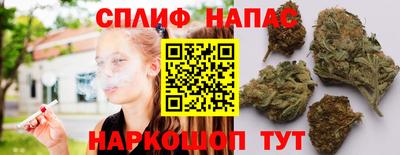 молекула духа Заводоуковск