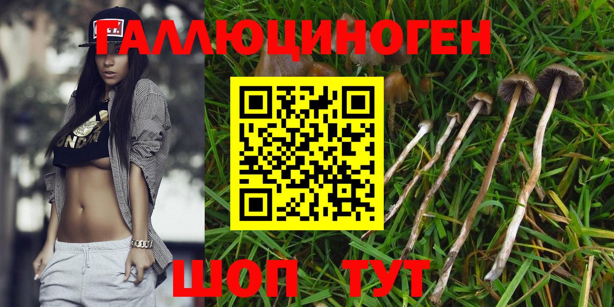 Псилоцибиновые грибы Psilocybine cubensis  Галлюциногенные грибы Cubensis  Вход с VPN  Киселёвск 